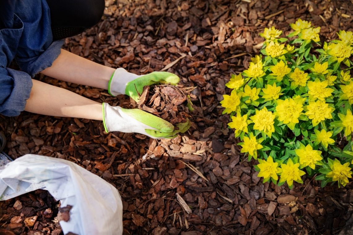 Pinienrindenmulch hat viele Vorteile