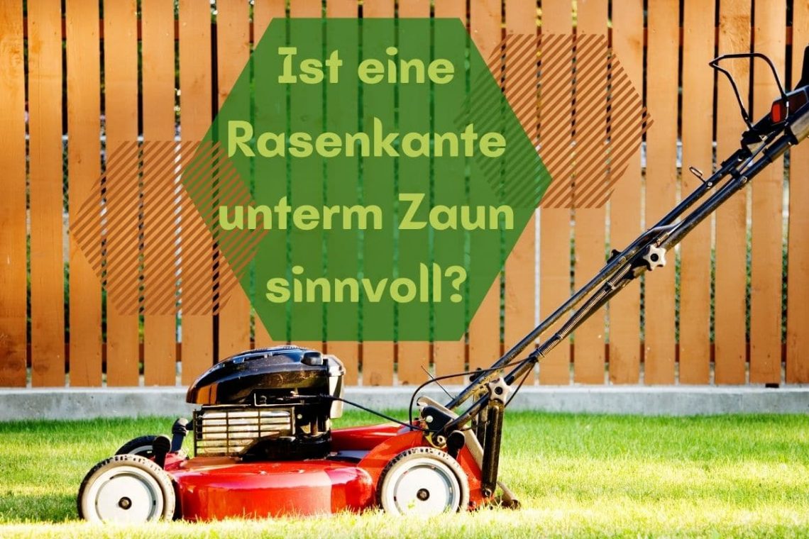 Rasenkante unterm Zaun - Titel