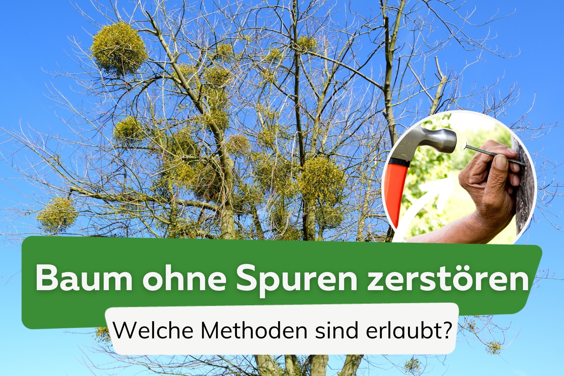 Baum zerstören ohne Spuren