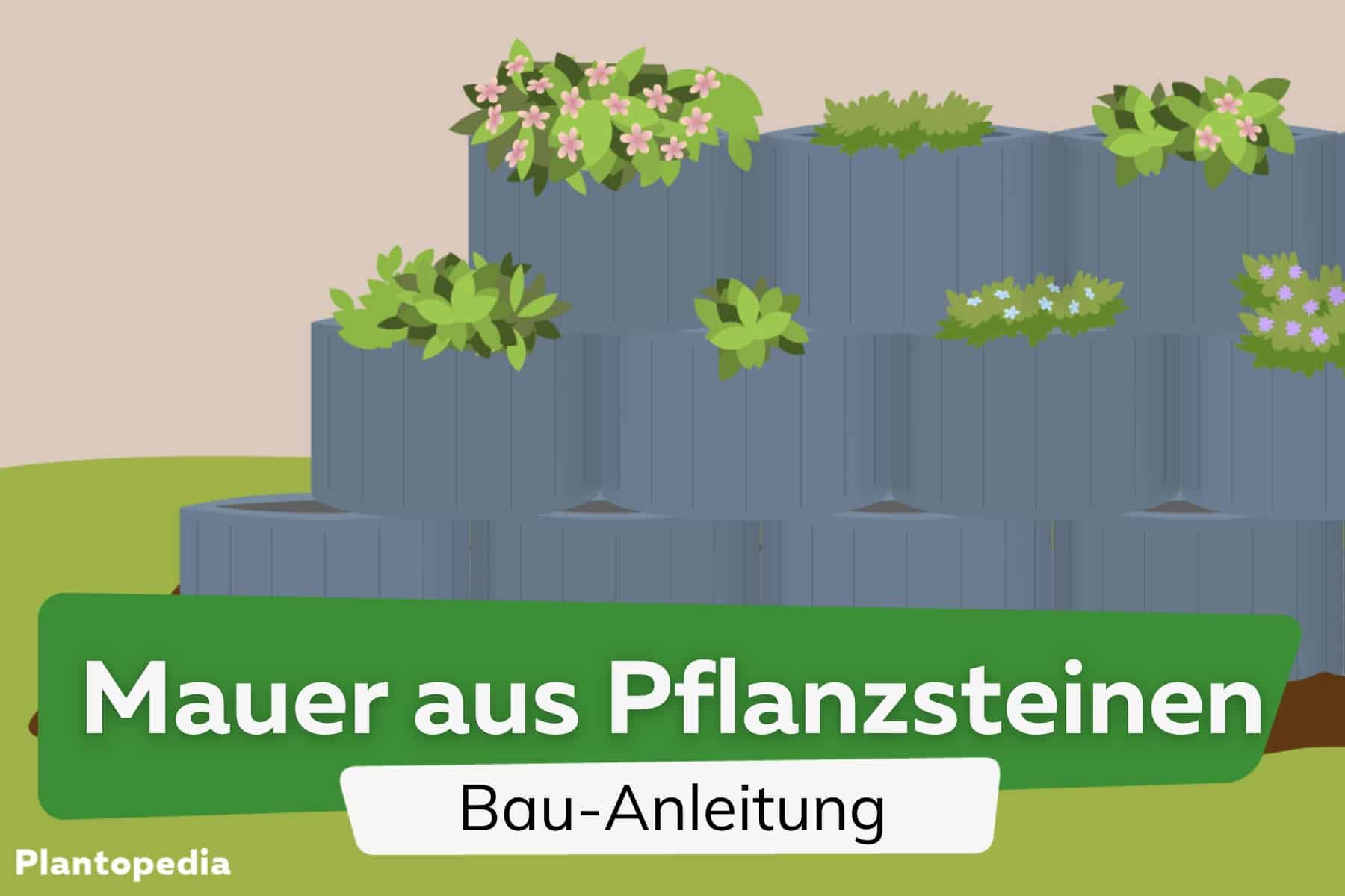 Freistehende Mauer aus Pflanzsteinen bauen - Anleitung