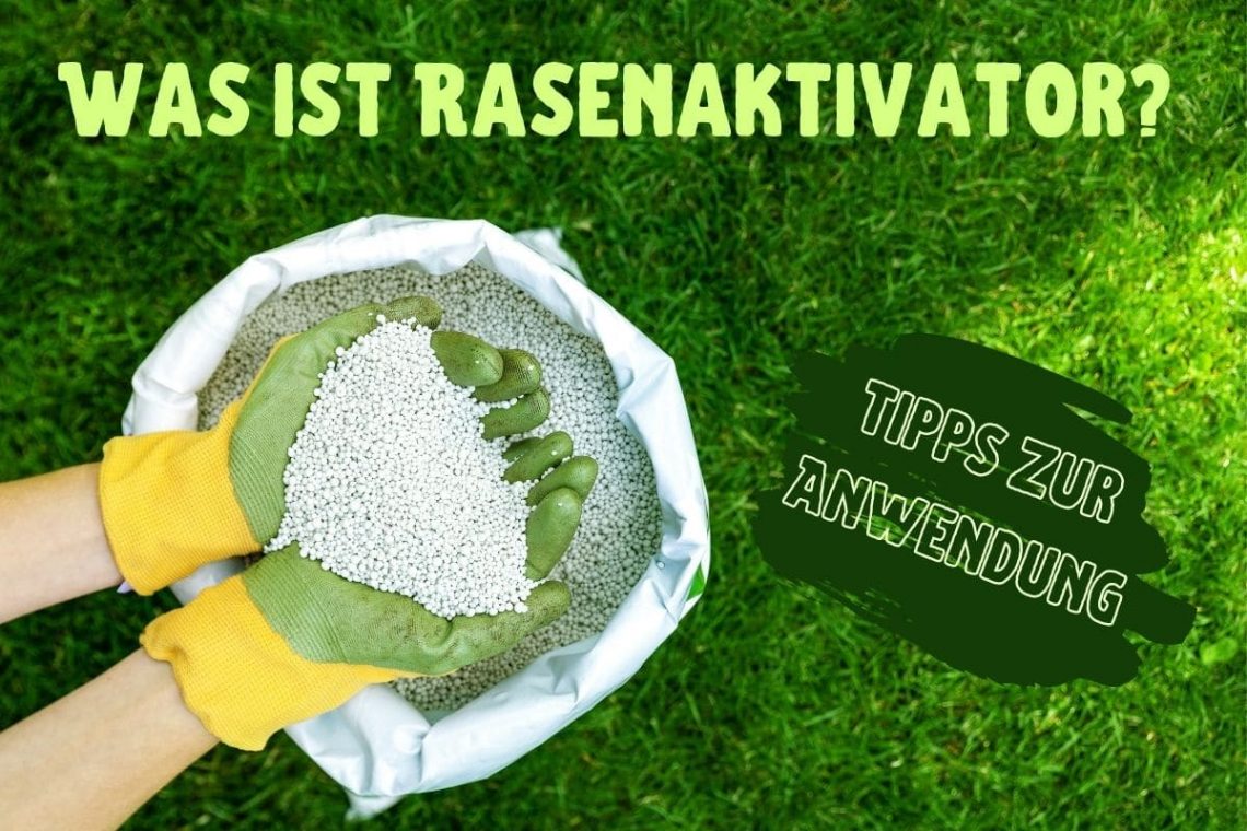 Rasenaktivator - Titel