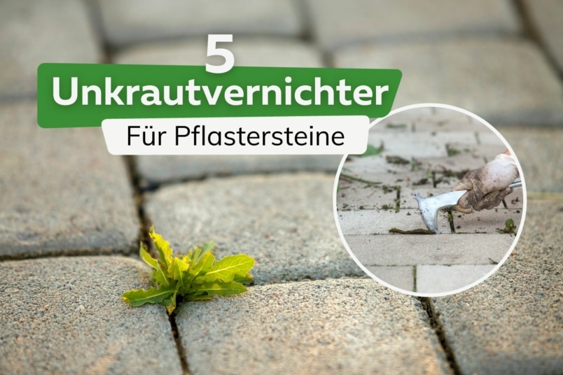 Unkrautvernichter für Pflastersteine