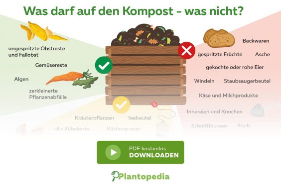 Was darf auf den Kompost - Titel