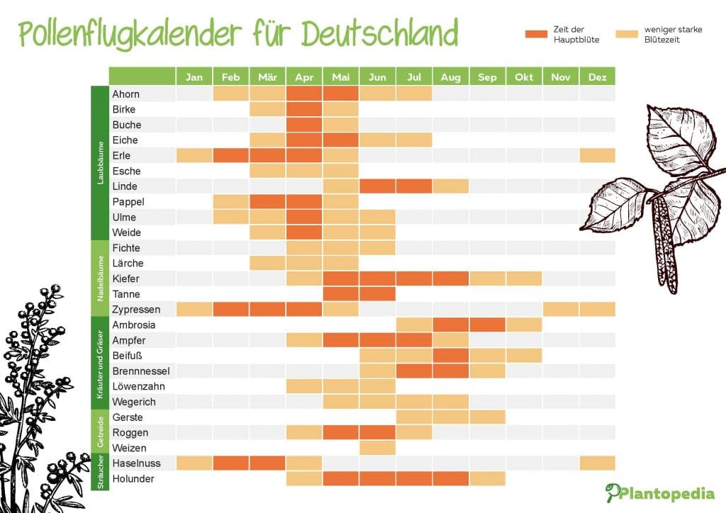 Pollenflugkalender