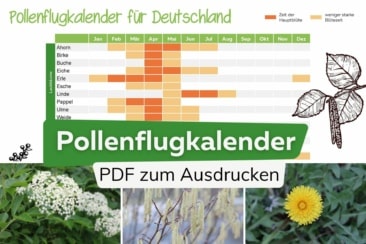 Pollenflugkalender