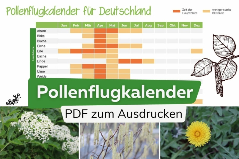 Pollenflugkalender