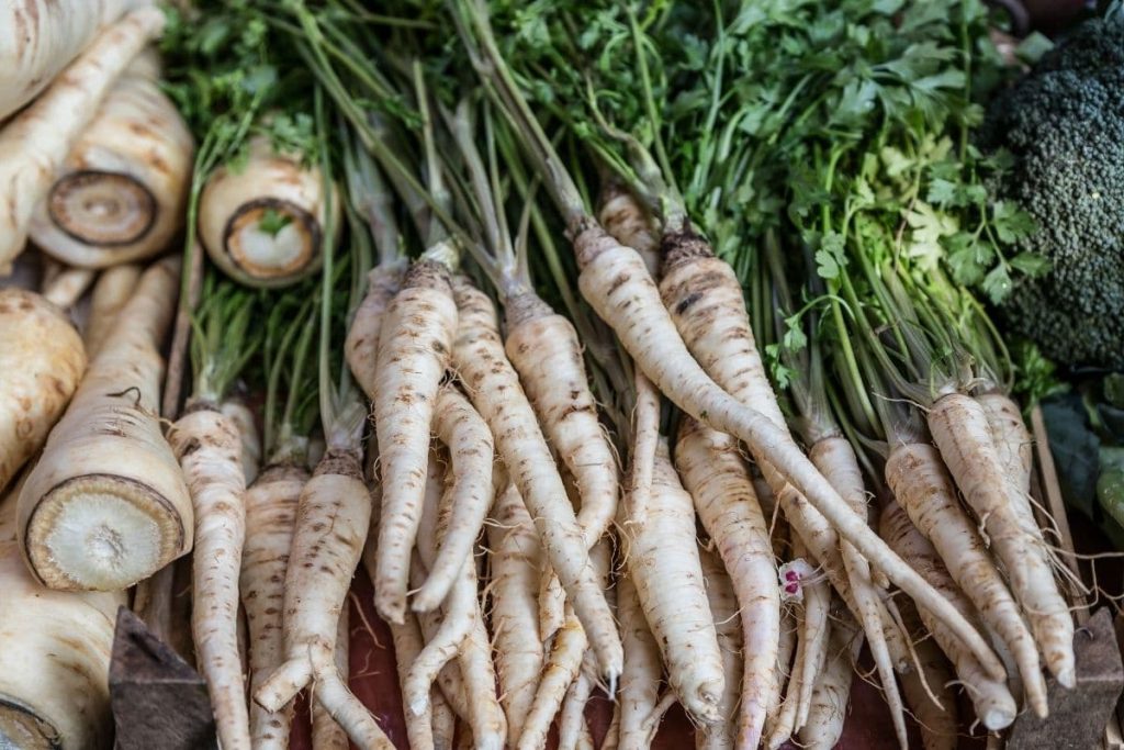 Gute Nachbarn für Schnittlauch - Pastinake (Pastinaca sativa)