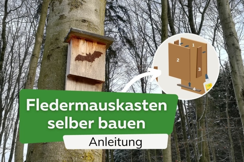 Anleitung: Fledermauskasten selber bauen