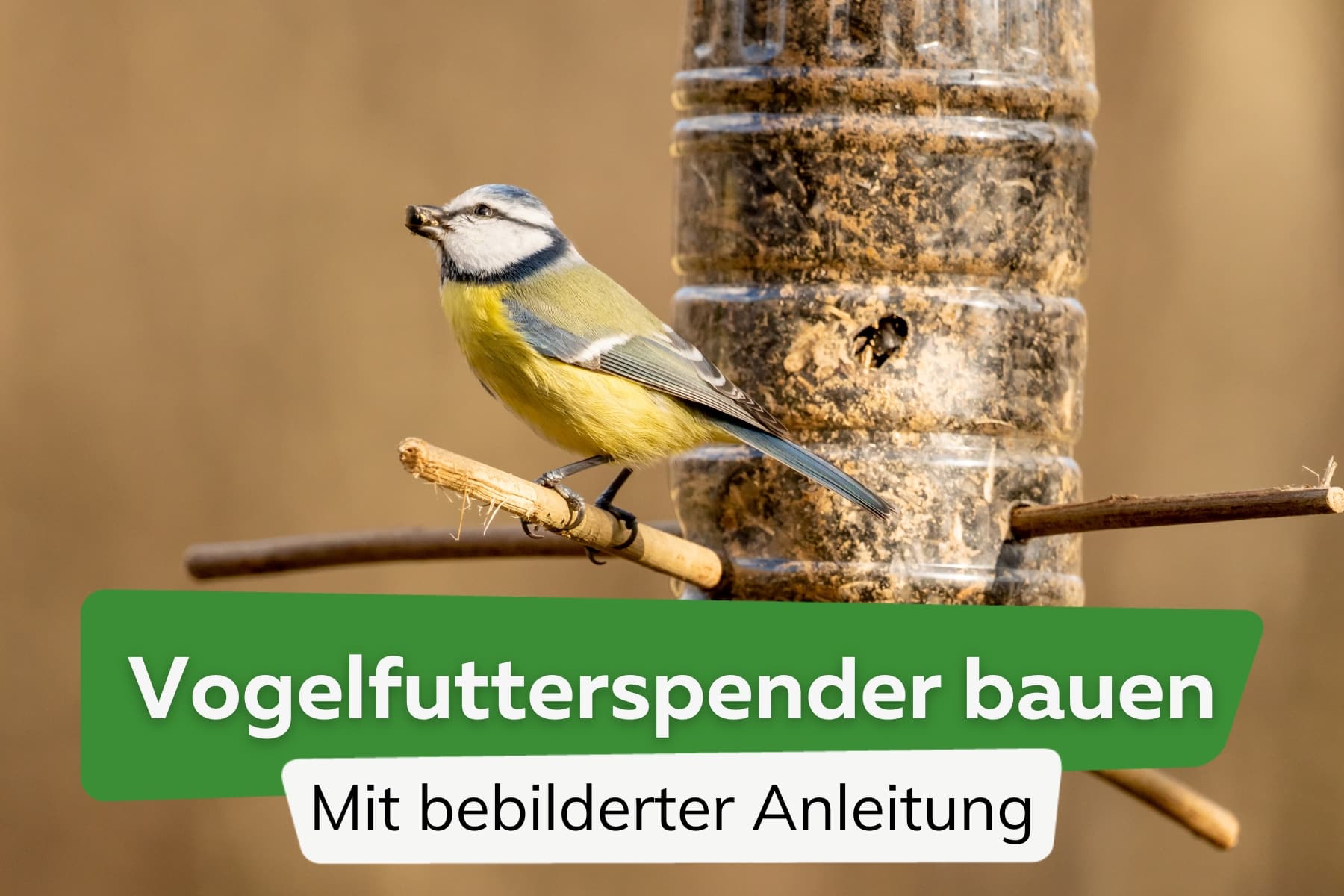 Vogelfutterspender bauen