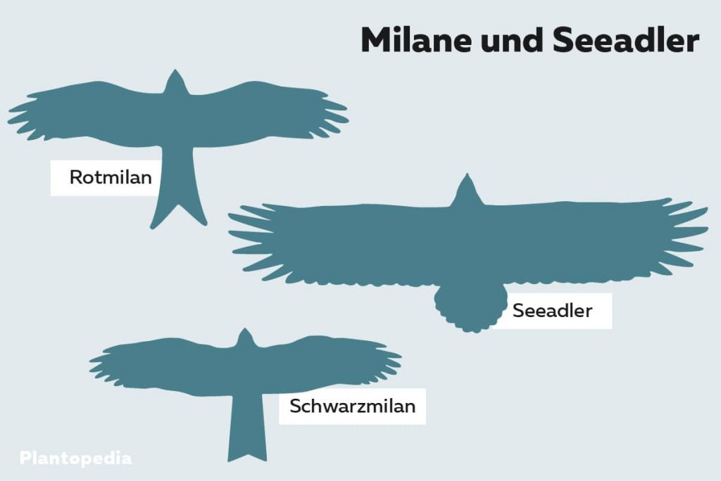 Flugbilder Milane