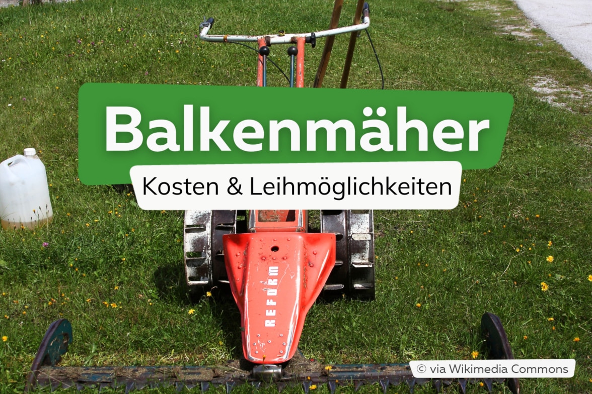 Wann sollte man den Rasen mähen? Der beste Zeitpunkt