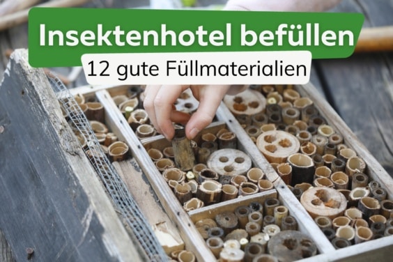 Insektenhotel Füllung: 12 ideale Materialien