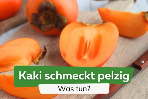 Kaki schmeckt pelzig