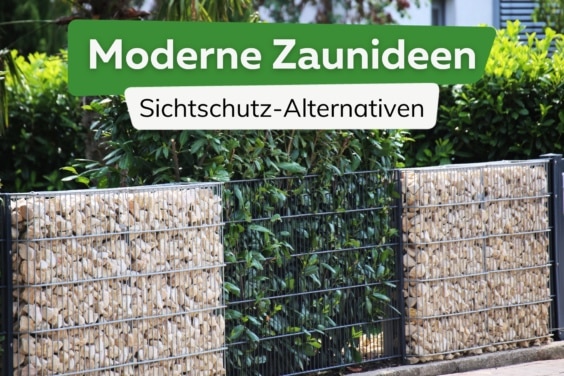 Moderne Zaunideen: 9 günstige Alternativen