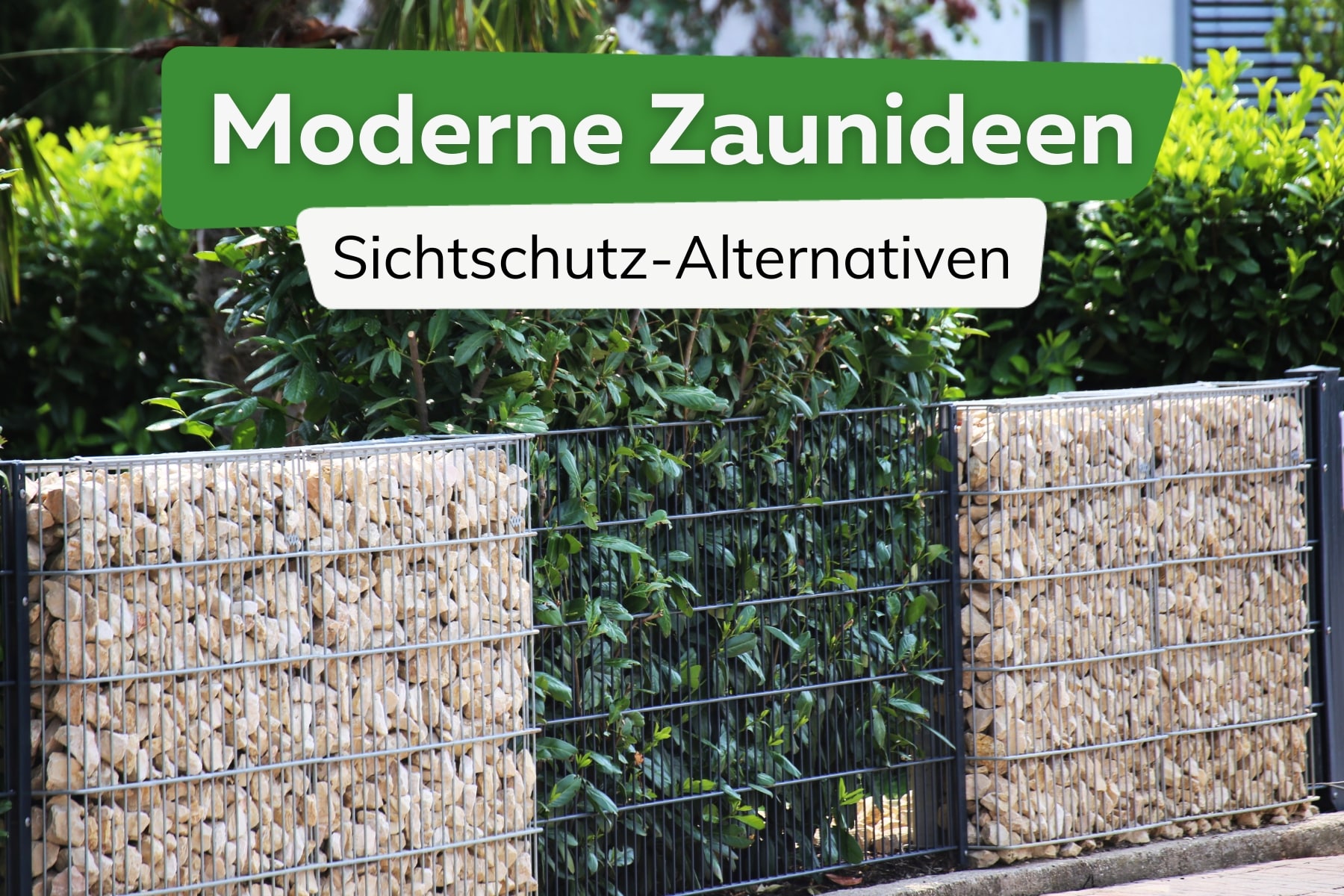 Moderne Zaunideen: 9 günstige Alternativen