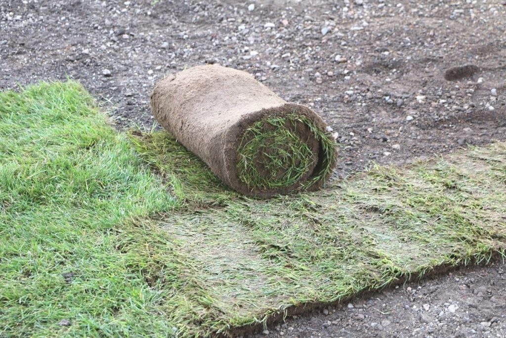 Rollrasen verlegen mit Rasenwalze