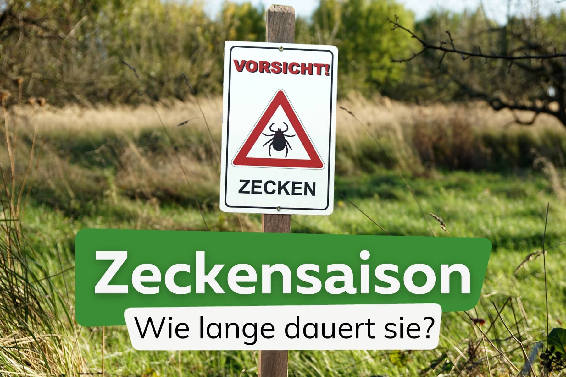 Zeckensaison