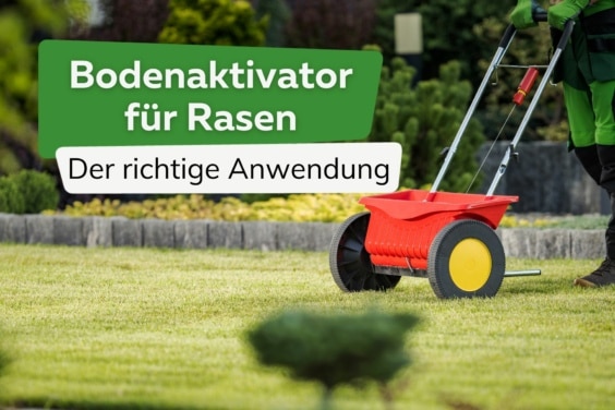 Bodenaktivator für Rasen richtig anwenden