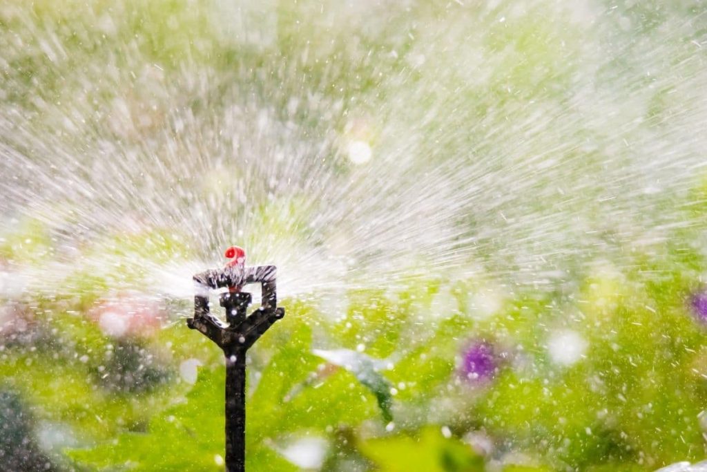 Gartenbewässerung mit Sprinkleranlage