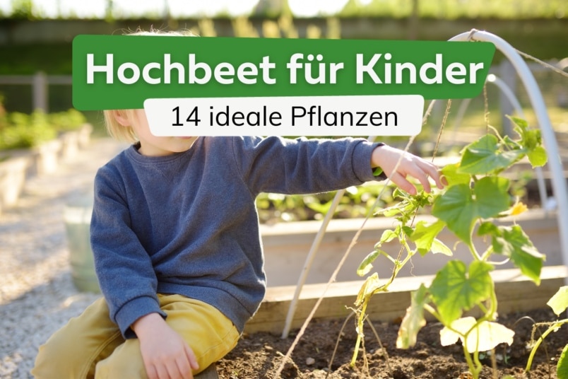 Hochbeet für Kinder