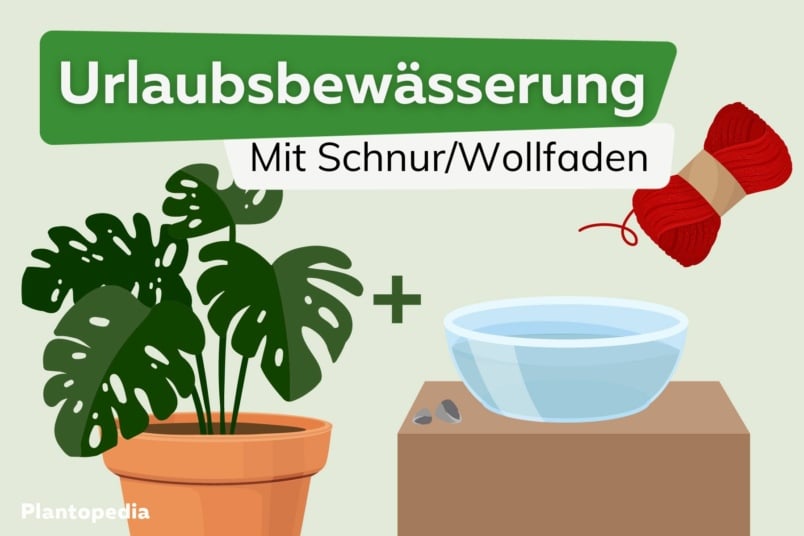 How to: Urlaubsbewässerung mit Schnur/Wollfaden