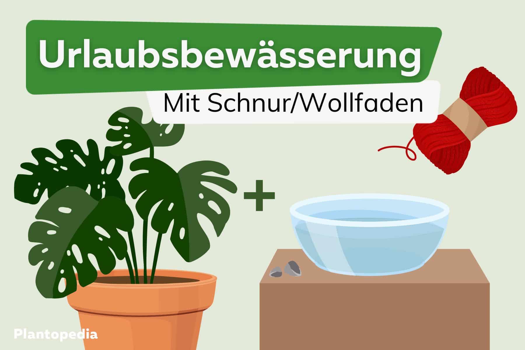 How to: Urlaubsbewässerung mit Schnur/Wollfaden