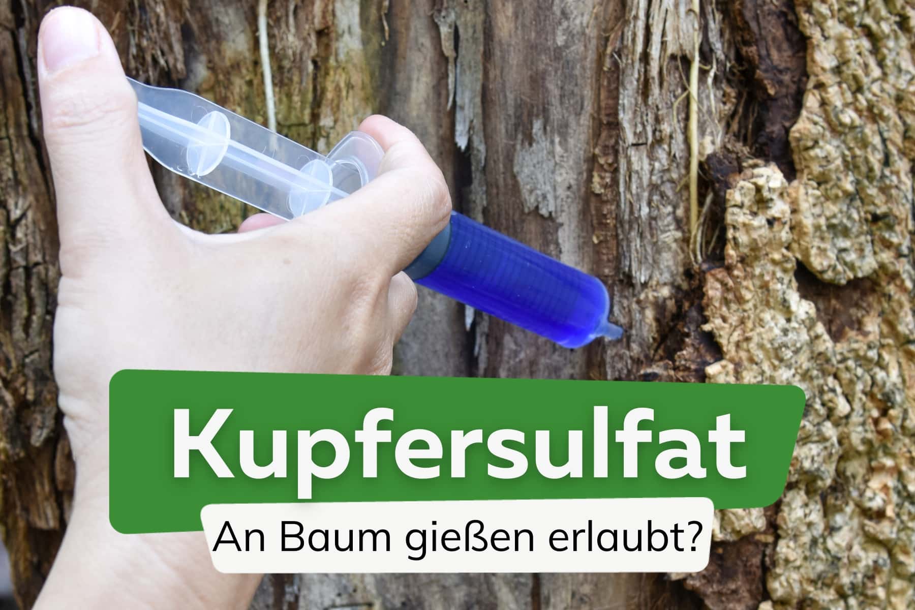 Kupfersulfat an Baum gießen: ist es erlaubt?