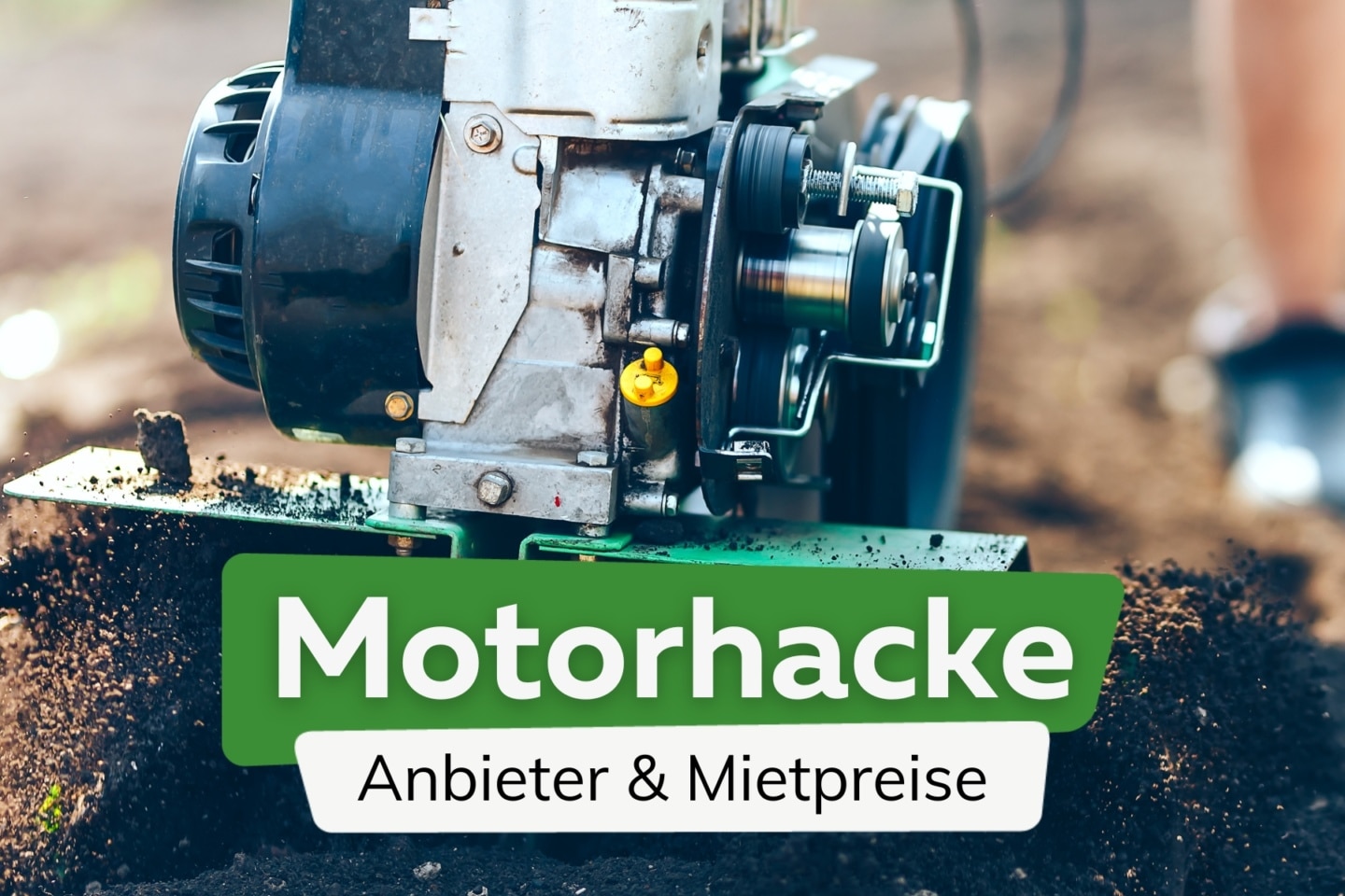 Rasenwalze mieten Anbieter & Preise 2025