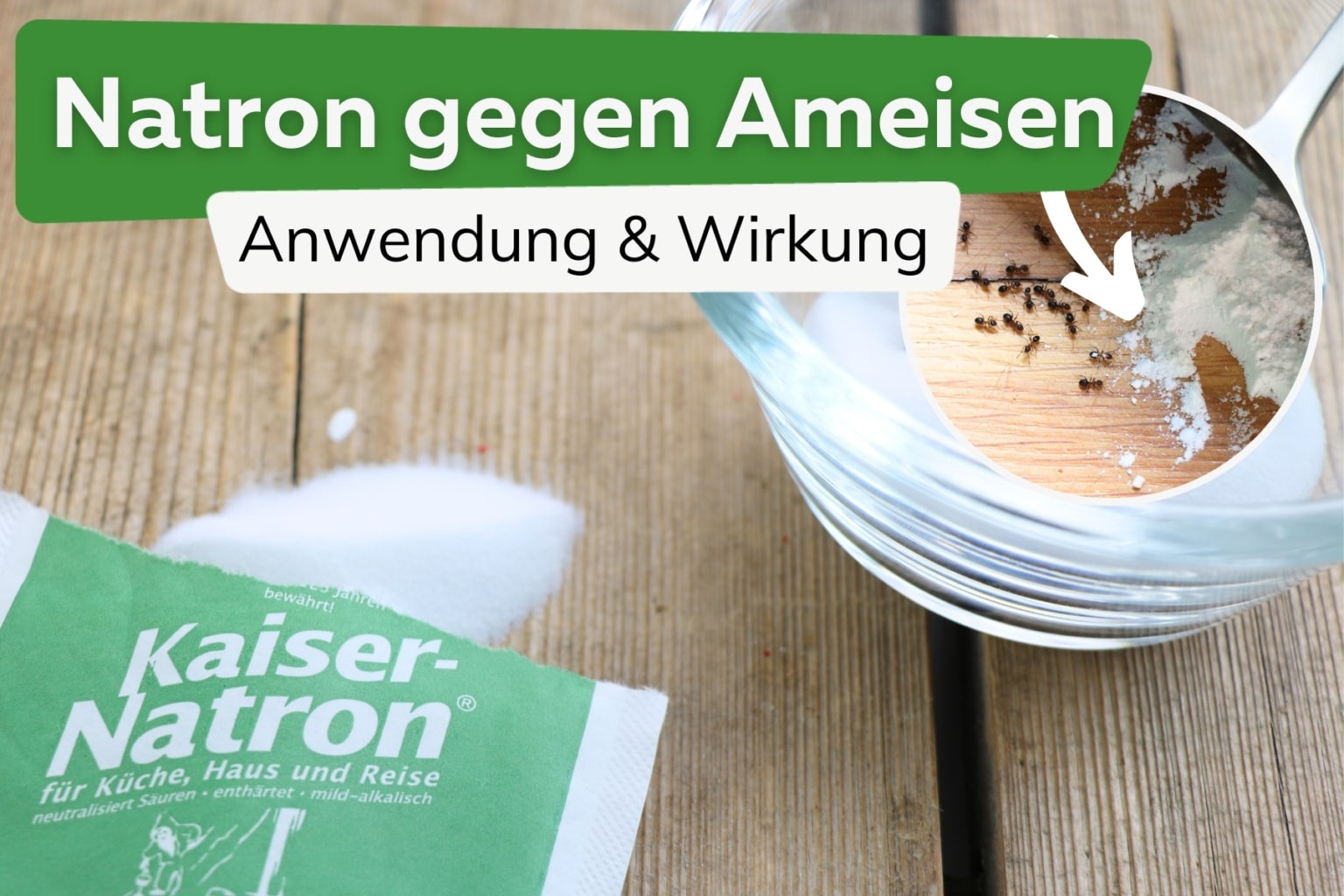 Natron gegen Ameisen hilft das Hausmittel?