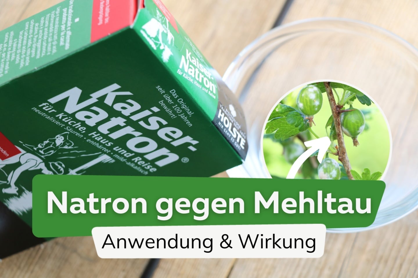 Natron gegen Ameisen hilft das Hausmittel?