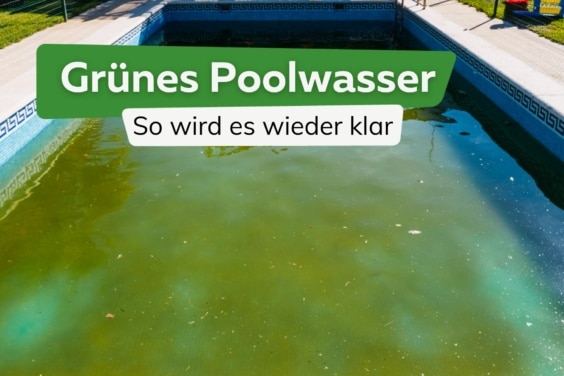 Pool: grünes Wasser klar bekommen: 8 Hausmittel