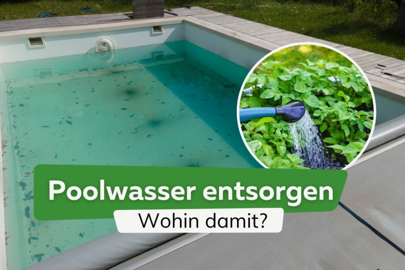 Poolwasser entsorgen: wir zeigen wohin damit