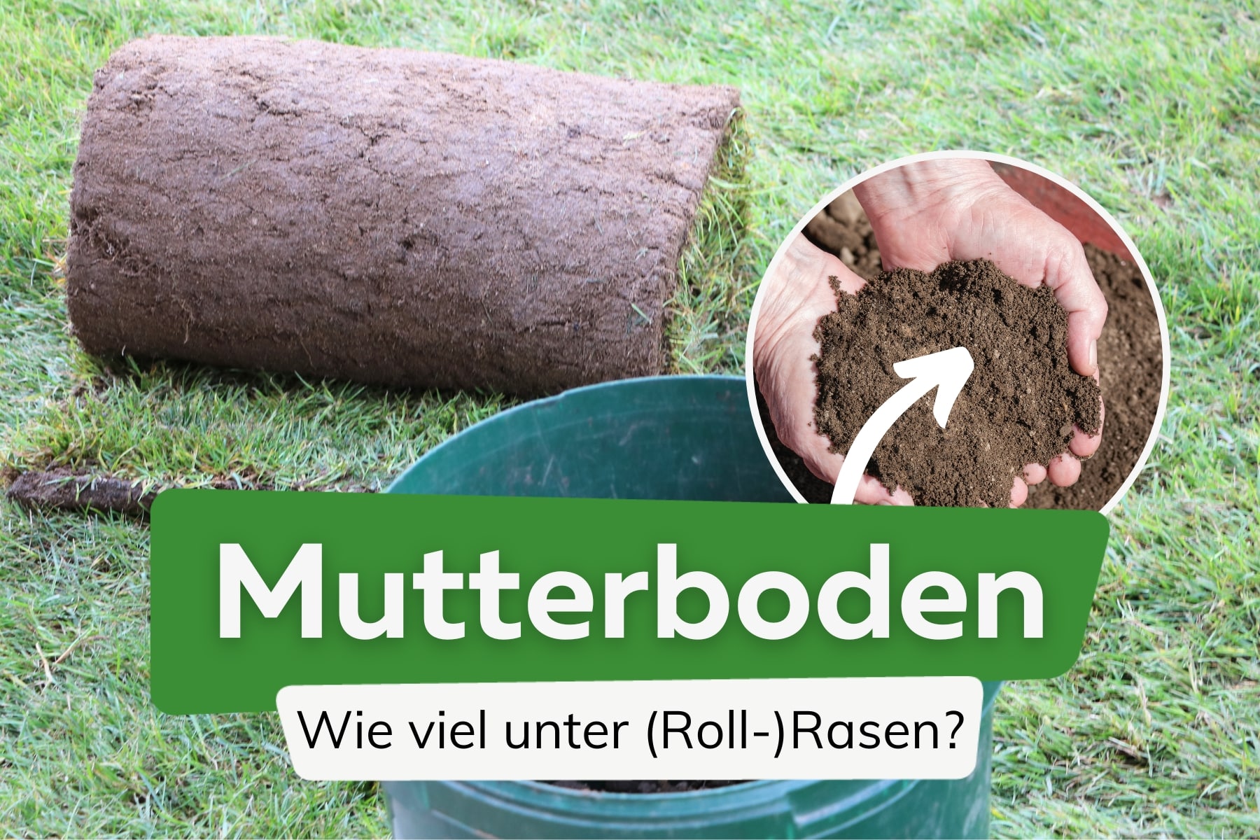 Wie viel Mutterboden unter Rasen/Rollrasen?