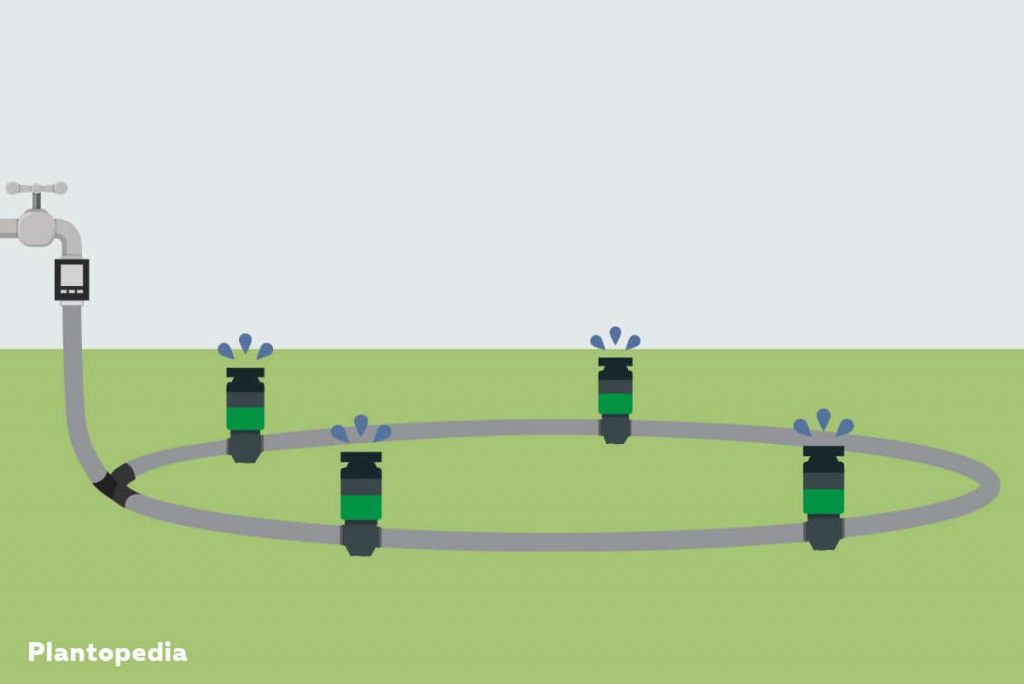 Rasensprenger mit Ringleitung