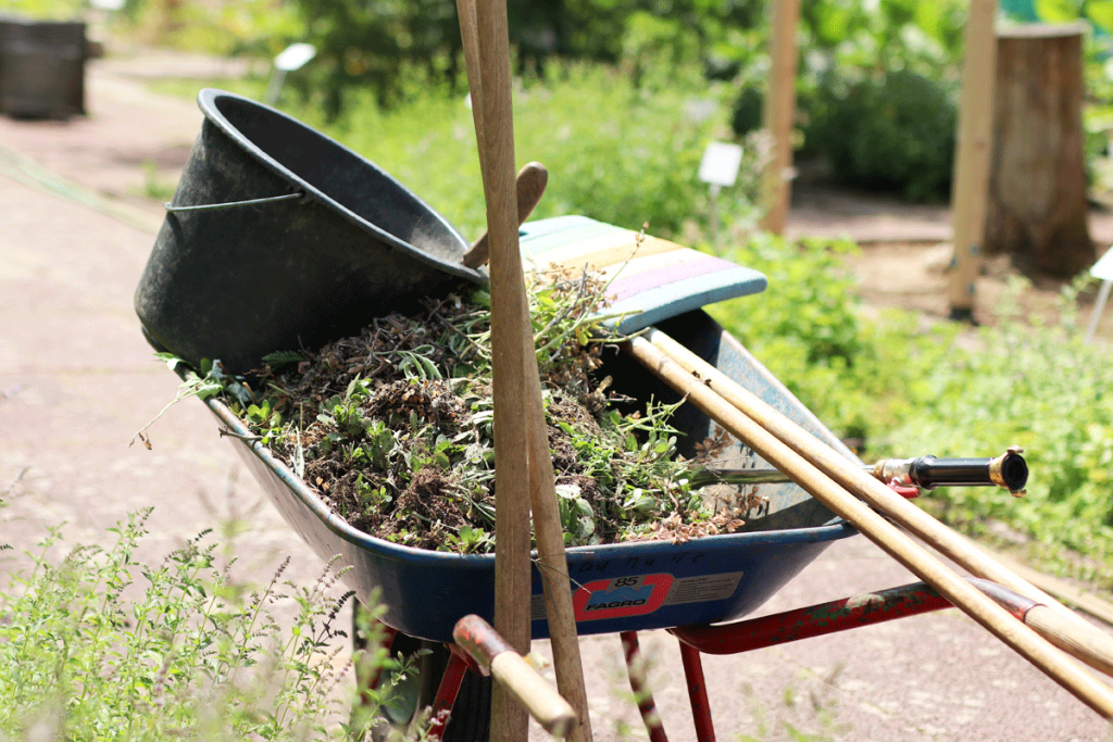 Gartenarbeit mit einer Schubkarre