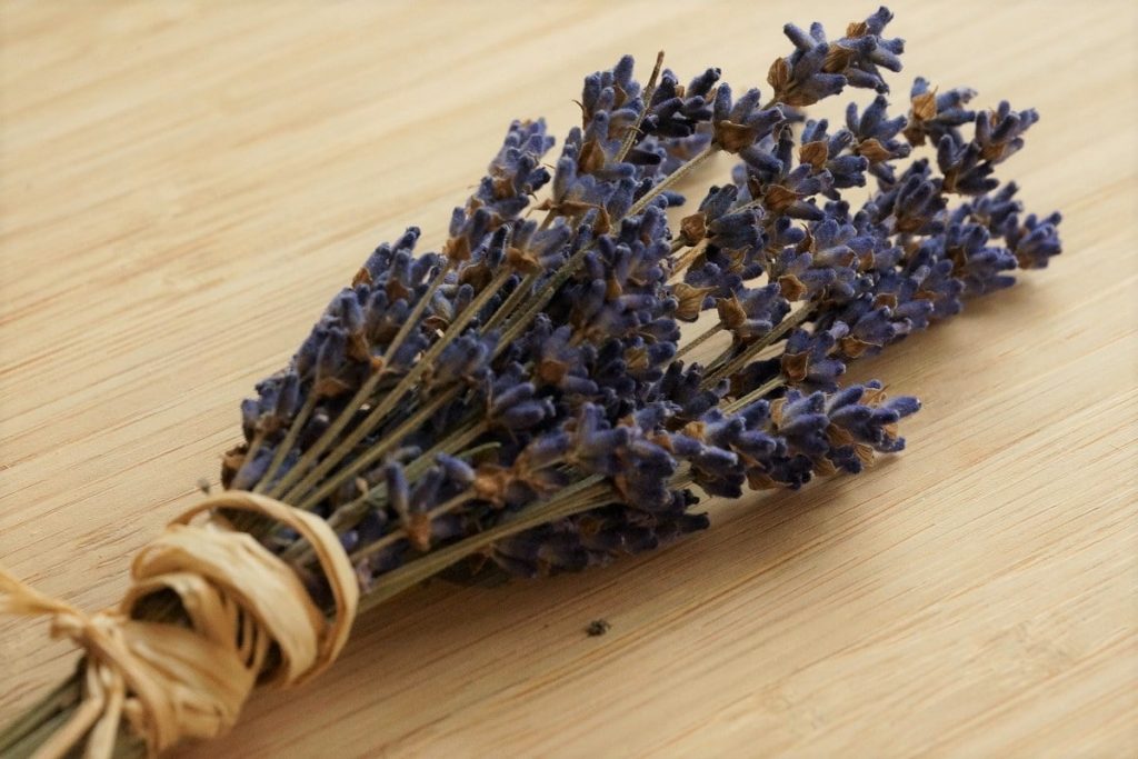 Waschbären vertreiben - Lavendel