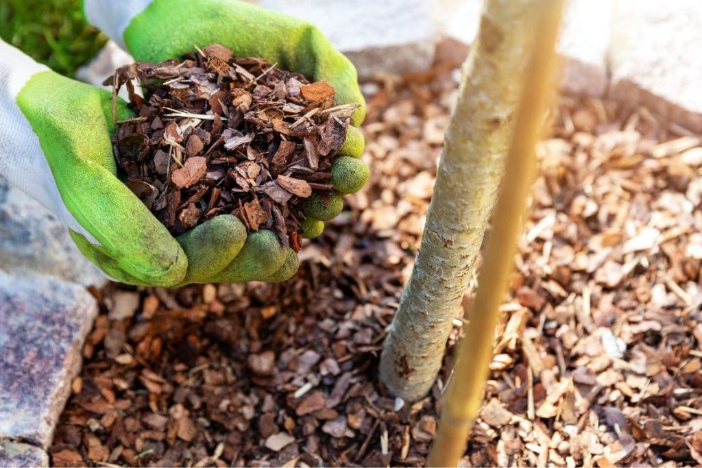 Rindenmulch ausbringen