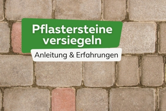 Pflastersteine versiegeln: Anleitung & Erfahrungen