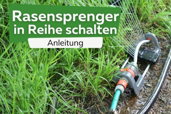 Rasensprenger in Reihe schalten