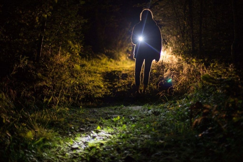 Waschbären vertreiben - Mit Taschenlampe im Garten