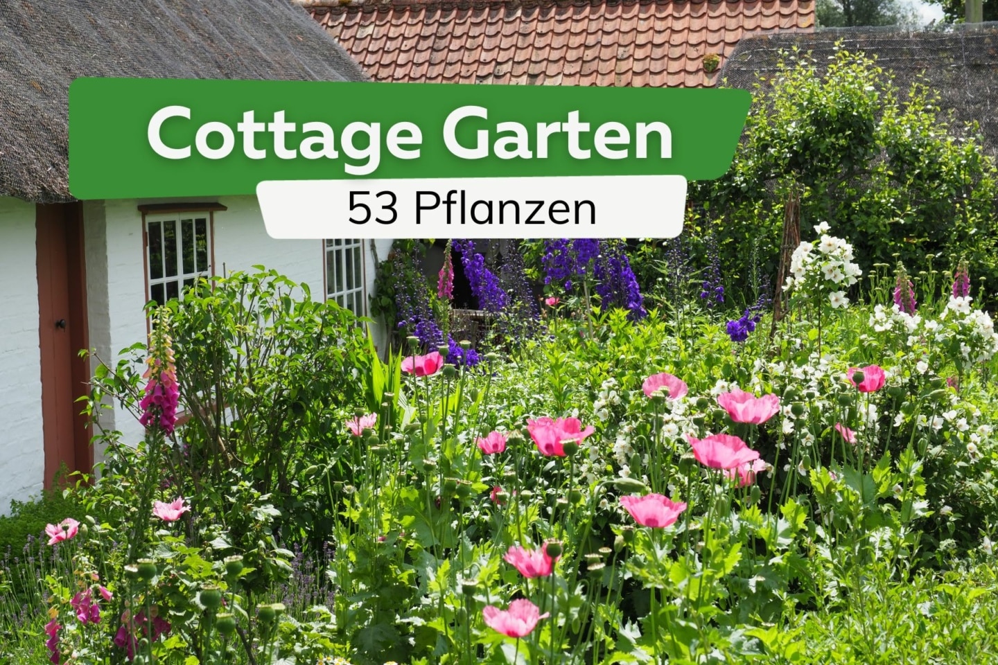 Cottage Garten 53 Pflanzen mit Pflanzplan