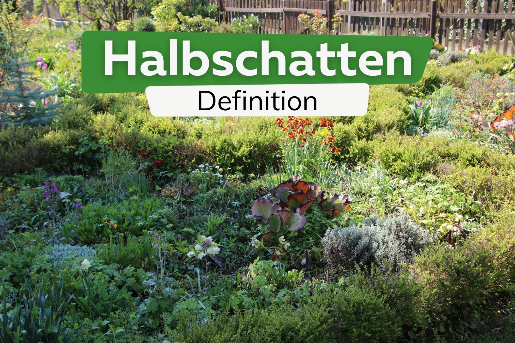 Definition: was bedeutet Halbschatten?