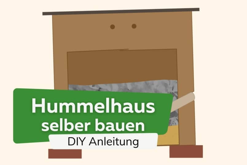 Hummelkasten selbst bauen: DIY-Hummelhaus