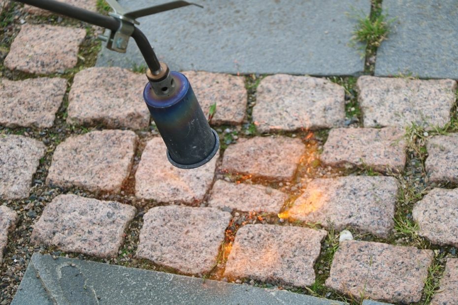 INOX® WegeClean, 2x 5L - Reiniger Unkrautvernichter Wege - Foto 7