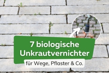 7 biologische Unkrautvernichter für Wege, Pflaster & Co