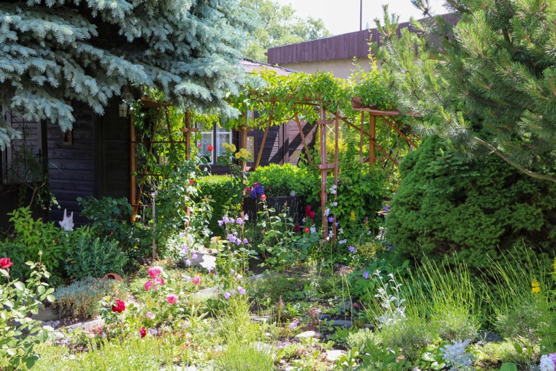 Garten mit Bäumen und Blumen