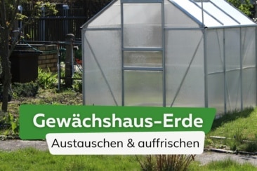 Gewächshaus-Erde austauschen und auffrischen