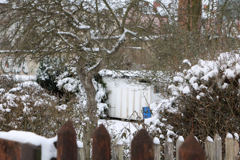 Garten im Winter