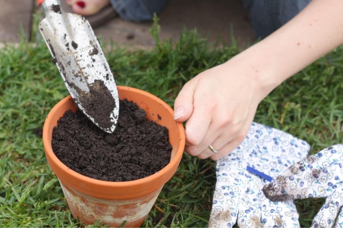 Blumentopf mit dem richtigen Substrat befüllen