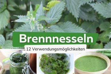 12 Möglichkeiten Brennnesseln zu verwenden